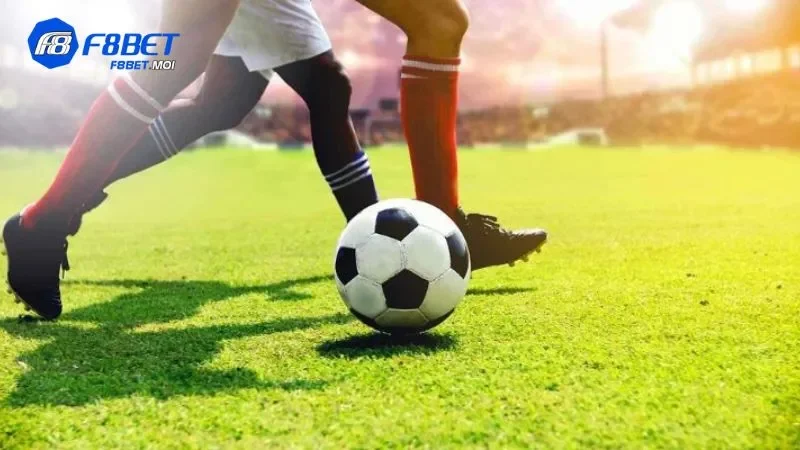 BTI Sports F8Bet BTI Sports F8Bet