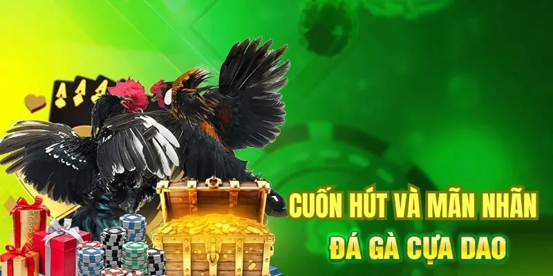 Đá Gà Cựa Dao F8Bet Đá gà cựa dao F8Bet và những giây phút giải trí cực kỳ mãn nhãn