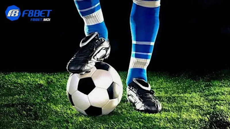 IM Sports F8Bet - Sảnh cá cược thể thao uy tín cho mọi người 2 IM Sports F8Bet